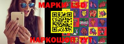 гашик Донской