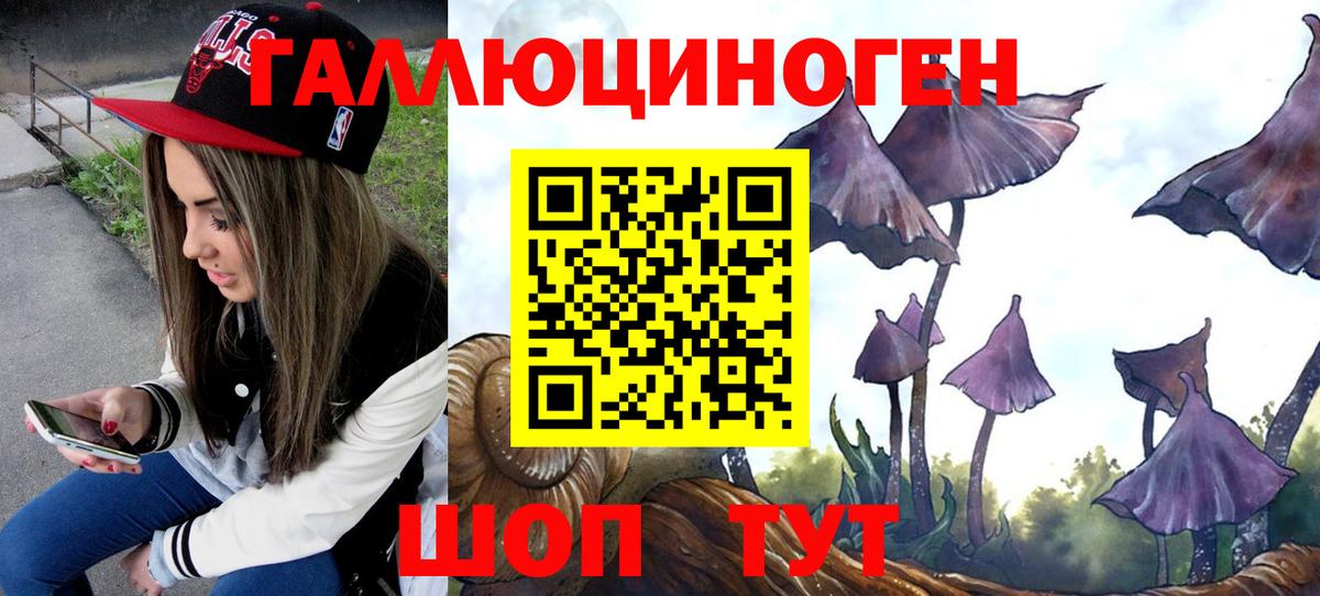 Галлюциногенные грибы Cubensis  Вход с VPN  Людиново 